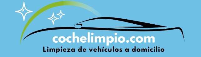 Coche Limpio Logo